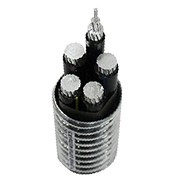 ZA-AC90(-40)-(YJLHS)-聯鎖鎧裝無護套鋁合金電纜